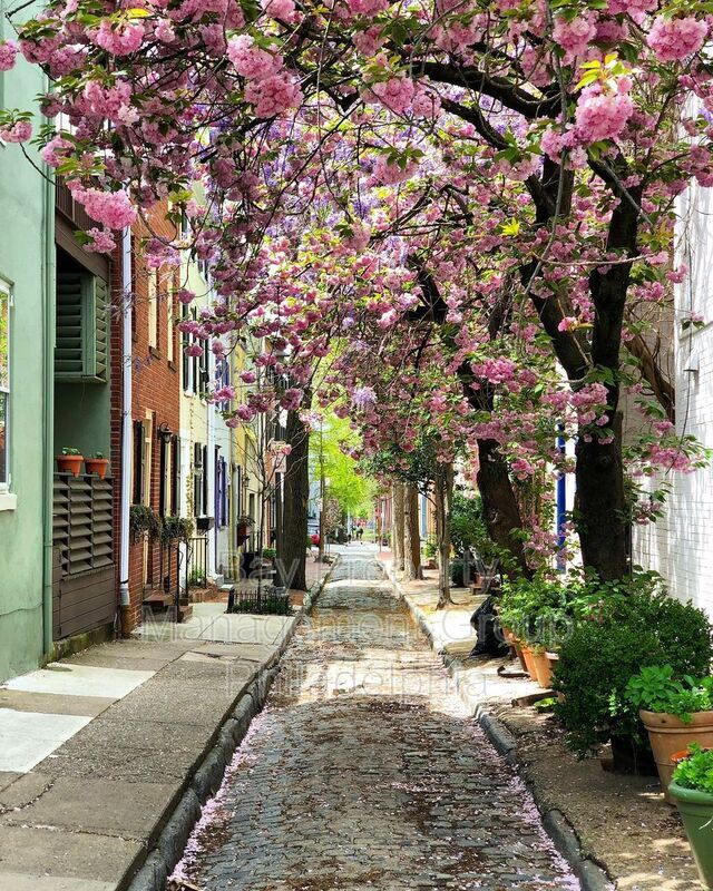 Building Photo - 2424 Panama St