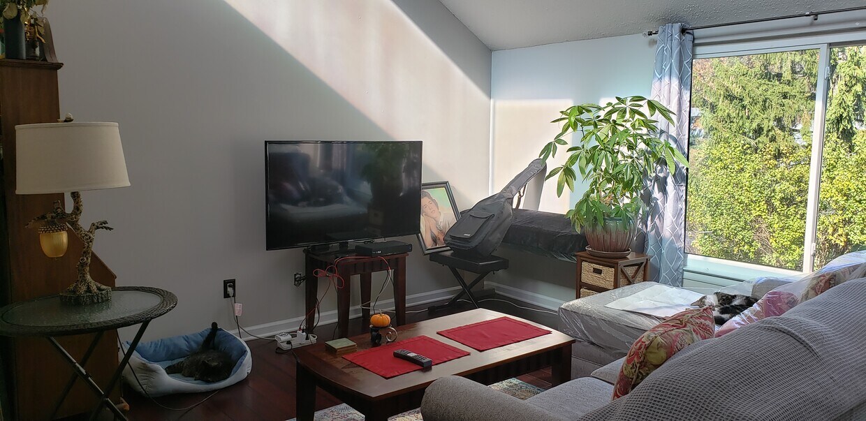 Living Room - 7 Island Path
