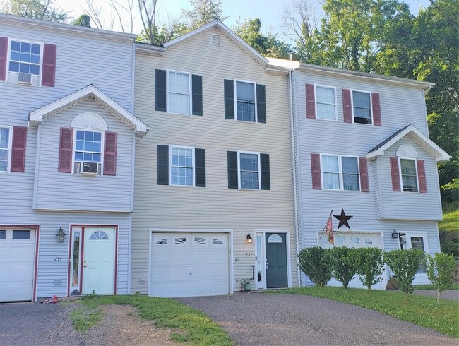 middle townhome, 2 car driveway, spacious 1 car garage plus storage - 237 Wirt St