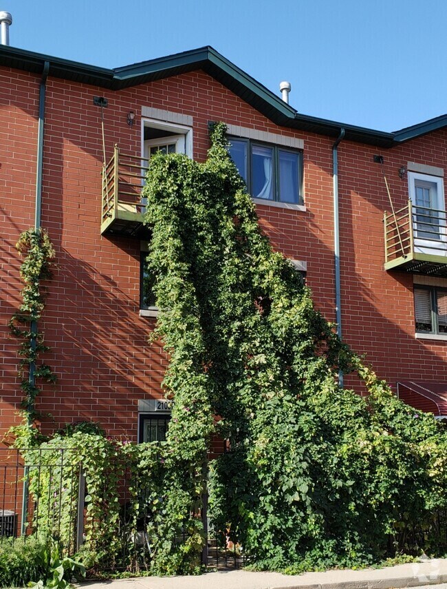 Chinatown Apartments for Rent Chicago, IL