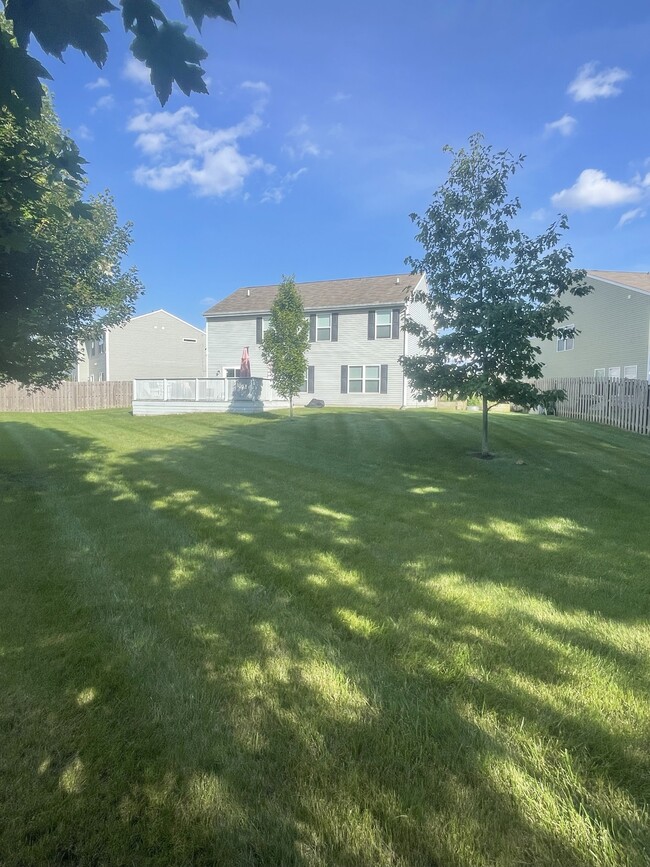 Building Photo - 2164 Sungold Ct