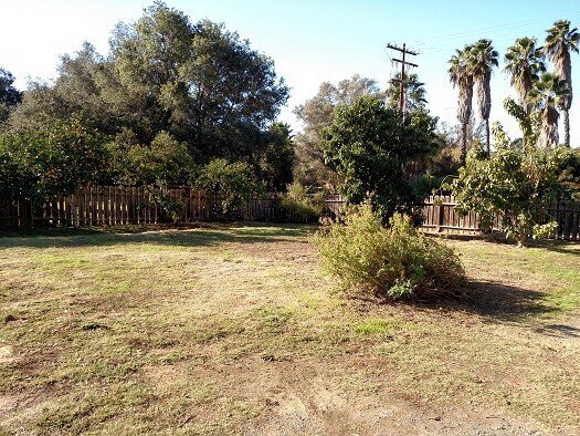 Building Photo - Rural Rainbow Duplex with Space