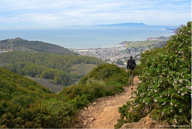 Building Photo - 1258 Alicante Dr