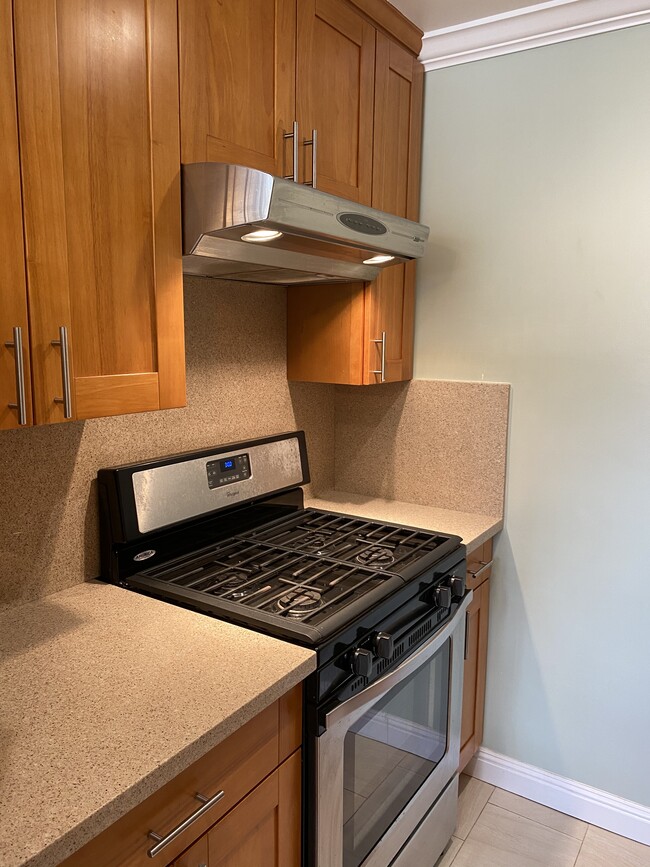 Gas Stove - 1226 2nd Ave