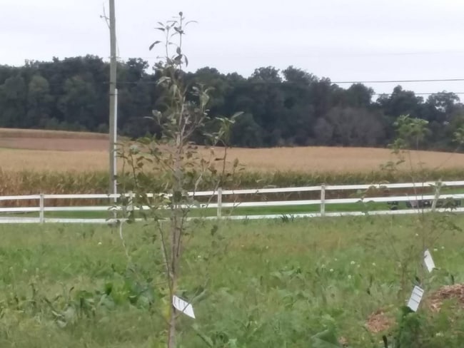 Building Photo - 50 Buckwalter Rd