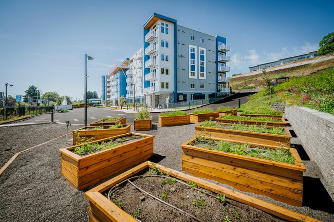 Building Photo - Grand Vista Apartments