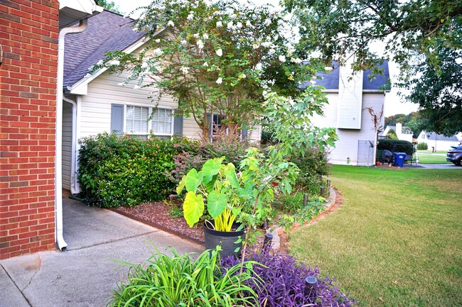 Front Garden bed - 60 Shenandoah Dr