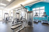 Located at 3000 Conservancy Drive in Chesapeake, Virginia, this single-floor fitness center is thoughtfully designed to accommodate a wide range of workout needs. The space is divided into distinct functional zones, each finished with purpose-driven materials and bright, welcoming aesthetics.

The main exercise floor features durable rubber flooring and is anchored by a bold teal accent wall that rises to soaring vaulted ceilings, creating an energizing atmosphere. Large windows fitted with horizontal blinds allow generous natural light to fill the cardio area, which is equipped with multiple treadmills and elliptical machines. The strength training section offers a comprehensive selection of cable machines, weight benches, and resistance equipment, all arranged to maximize usability and circulation.

A separate studio room provides a clean, open environment with warm hardwood flooring, full-length wall mirrors, a wall-mounted television, and a rack of color-coded dumbbells — ideal for stretching, yoga, or group fitness activities. An additional multipurpose room with hardwood floors and a mounted TV offers flexible space for individual training or guided sessions.

Throughout the facility, recessed and panel lighting ensures consistent illumination, while crisp white walls and trim maintain a clean, professional appearance. The layout is practical and accessible, offering a comprehensive fitness experience in a well-maintained community setting.