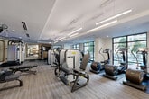 Located at 2303 Mid Lane in Houston's prestigious River Oaks corridor, this modern fitness center offers a thoughtfully designed, single-floor layout that accommodates a full range of workout needs. The space is bathed in natural light streaming through large floor-to-ceiling windows that frame views of the surrounding greenery, creating an open and energizing atmosphere.

The fitness floor is finished with durable, textured carpet tiles and features a tray ceiling with sleek linear pendant lighting, lending the space a polished, contemporary aesthetic. The equipment selection is both varied and high-end, including multiple treadmills, elliptical trainers, stair climbers, and stationary bikes for cardiovascular conditioning. A dedicated strength training zone houses a multi-functional cable machine, weight bench, and a well-stocked dumbbell rack arranged alongside a large framed mirror and a wall-mounted flat-screen television.

TRX suspension straps are anchored near the windows, offering functional training options. Strategically placed mirrors throughout the space enhance the sense of depth and allow users to monitor their form. Near the entrance, a built-in shelving unit with towel service adds a convenient, amenity-focused touch. The fitness center is accessible via both a glass-paneled interior door and a direct exterior entry, ensuring easy access for users.