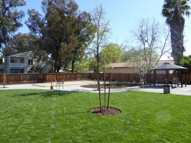 Tierra Bella Apartments Brentwood Ca Tierra Bella Apartments Brentwood Ca