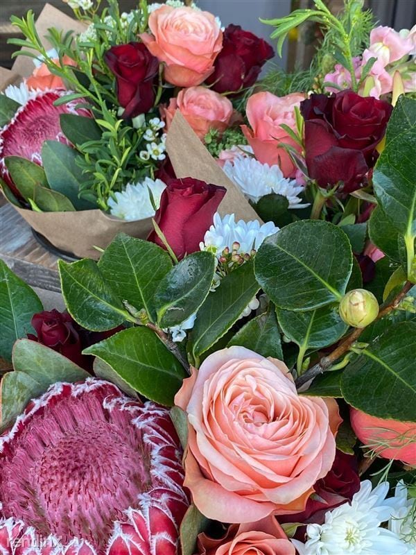 Photo - 1966 Union St Apartment