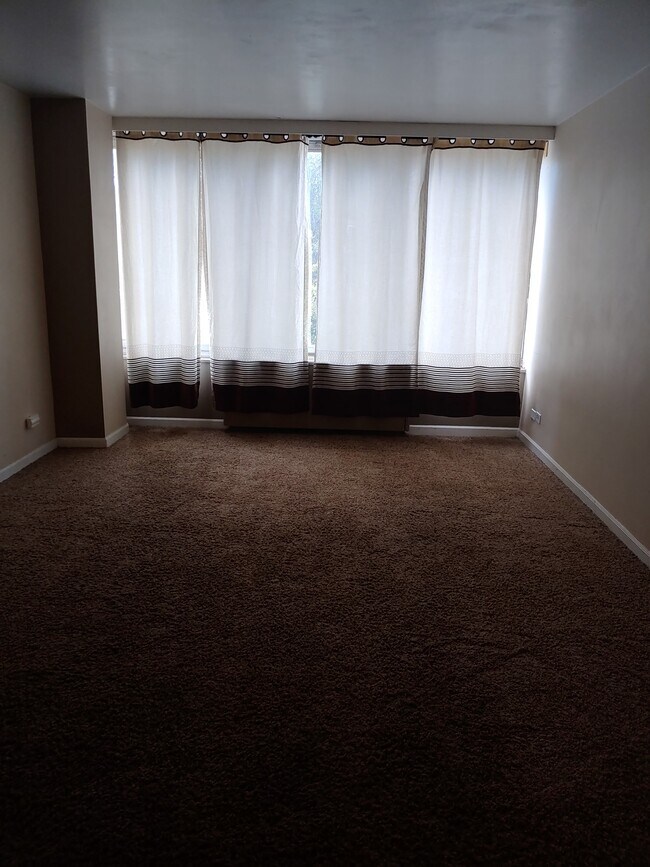 789 N Clarkson St Unit 503, Denver, CO 80218 Condo for Rent in Denver