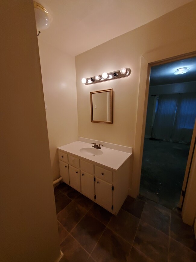 Downstairs bath - 347 Clark St