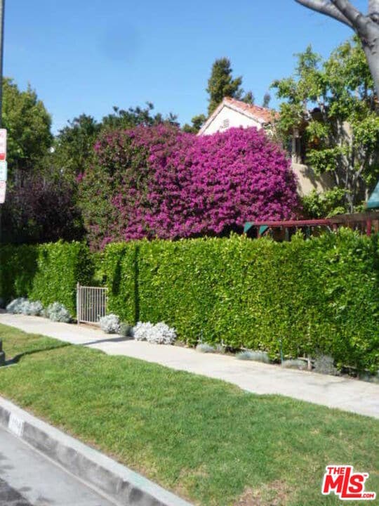Primary Photo - 304 S Reeves Dr
