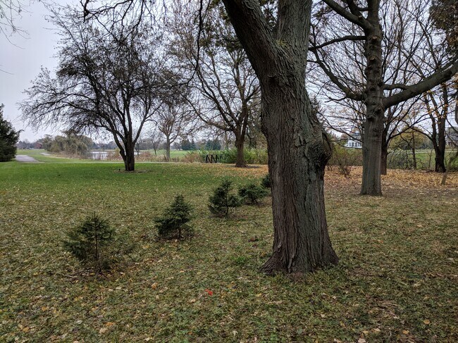 Building Photo - 24461 Boulevard de John