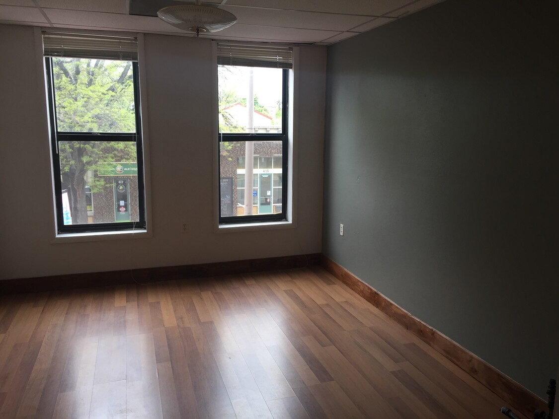 living room - 427 E 4th St