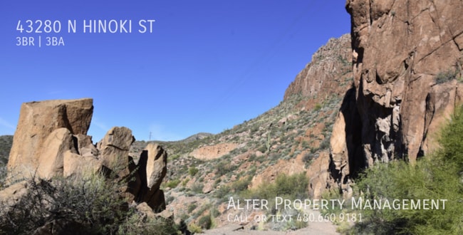 Building Photo - 43280 N Hinoki St