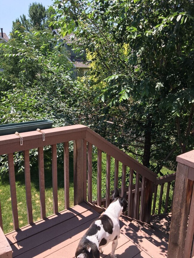 Foto del edificio - Adorable 2 bed/2 bath home in Southwest Lo...