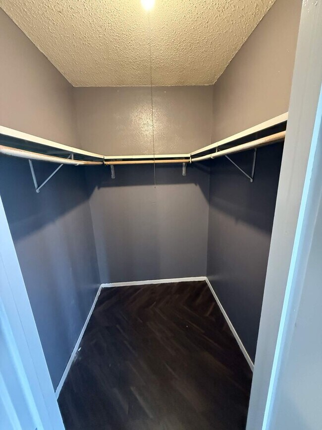 Building Photo - Conveniently Located Haven Near Austin Hotspots