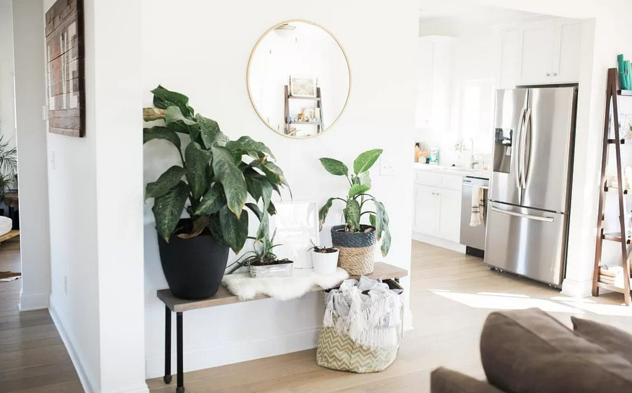 Foto del edificio - 1513 Star Flower Aly