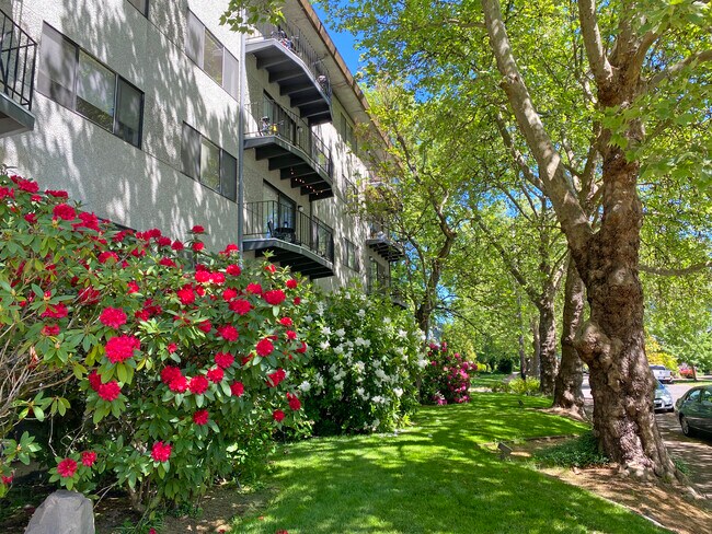 Foto del edificio - Park Plaza Apartments