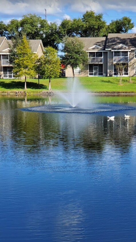 Primary Photo - 141 Reserve Cir