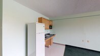This single-floor unit offers a straightforward and functional layout designed for efficient, comfortable living. The main living area features light vinyl flooring and soft mint-green walls, creating a clean, neutral atmosphere throughout. A built-in kitchenette is equipped with warm wood cabinetry, a dark countertop, a sink, a microwave, and a full-size refrigerator, providing all essential food preparation amenities in a compact footprint.

Transitioning from the kitchenette area, the space opens into a generously sized room finished with dark green carpeting, offering a comfortable area suitable for living and sleeping. A window provides natural light and a view to the outdoors, while a wall-mounted PTAC heating and cooling unit ensures year-round climate control. A ceiling light fixture and a built-in closet rod add to the room's practicality.

The bathroom is thoughtfully designed with accessibility in mind, featuring grab bars along the bathtub and near the toilet and sink, a wall-mounted sink with ample counter space, and a large mirror with overhead lighting. Light vinyl tile flooring and neutral cream walls give the bathroom a clean, functional aesthetic. A textured ceiling is consistent throughout the unit, contributing to its utilitarian character.