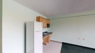 This single-floor unit offers a straightforward and functional layout designed for efficient, comfortable living. The main living area features light vinyl flooring and soft mint-green walls, creating a clean, neutral atmosphere throughout. A built-in kitchenette is equipped with warm wood cabinetry, a dark countertop, a sink, a microwave, and a full-size refrigerator, providing all essential food preparation amenities in a compact footprint.

Transitioning from the kitchenette area, the space opens into a generously sized room finished with dark green carpeting, offering a comfortable area suitable for living and sleeping. A window provides natural light and a view to the outdoors, while a wall-mounted PTAC heating and cooling unit ensures year-round climate control. A ceiling light fixture and a built-in closet rod add to the room's practicality.

The bathroom is thoughtfully designed with accessibility in mind, featuring grab bars along the bathtub and near the toilet and sink, a wall-mounted sink with ample counter space, and a large mirror with overhead lighting. Light vinyl tile flooring and neutral cream walls give the bathroom a clean, functional aesthetic. A textured ceiling is consistent throughout the unit, contributing to its utilitarian character.