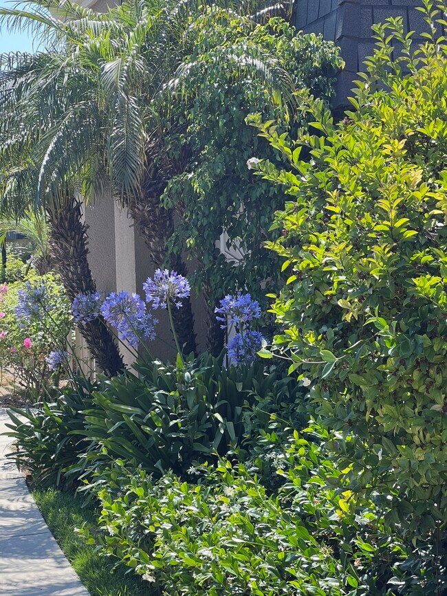 Beautiful grounds - 19201 Haynes St