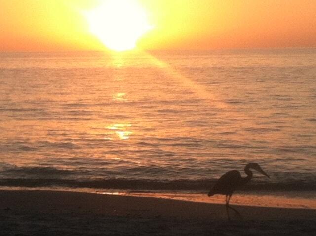 Foto del edificio - 519 Roma Ct