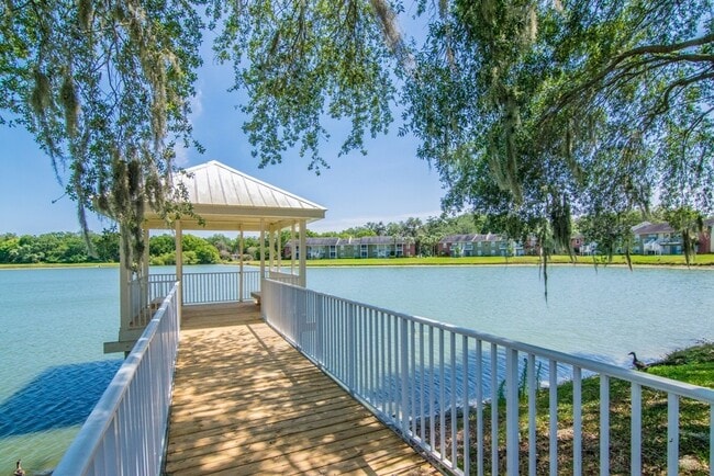 Photo - Ground Floor 2/2 with Conservation Views for Lease in Brandon, FL House