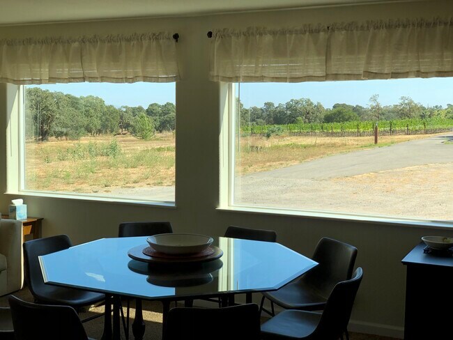 View of vineyard from living room - 9903 Old Camp Ln