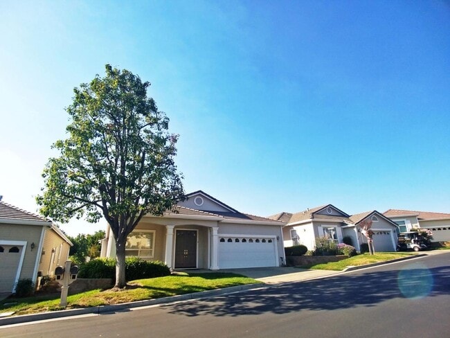 Building Photo - 8895 Wine Valley Cir
