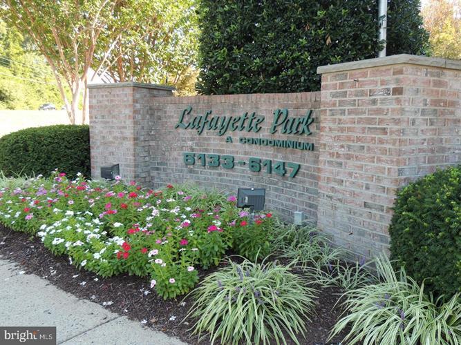 Primary Photo - 6147 Leesburg Pike