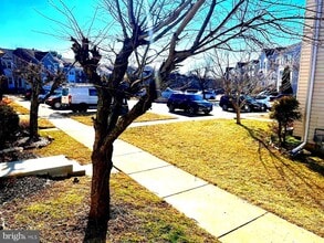 Building Photo - 3280 Halcyon Ct