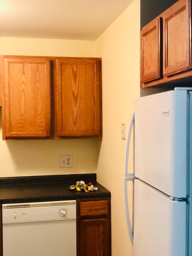 59 Ponemah Hill Rd Unit 1301, Milford, NH 03055 Condo for Rent in