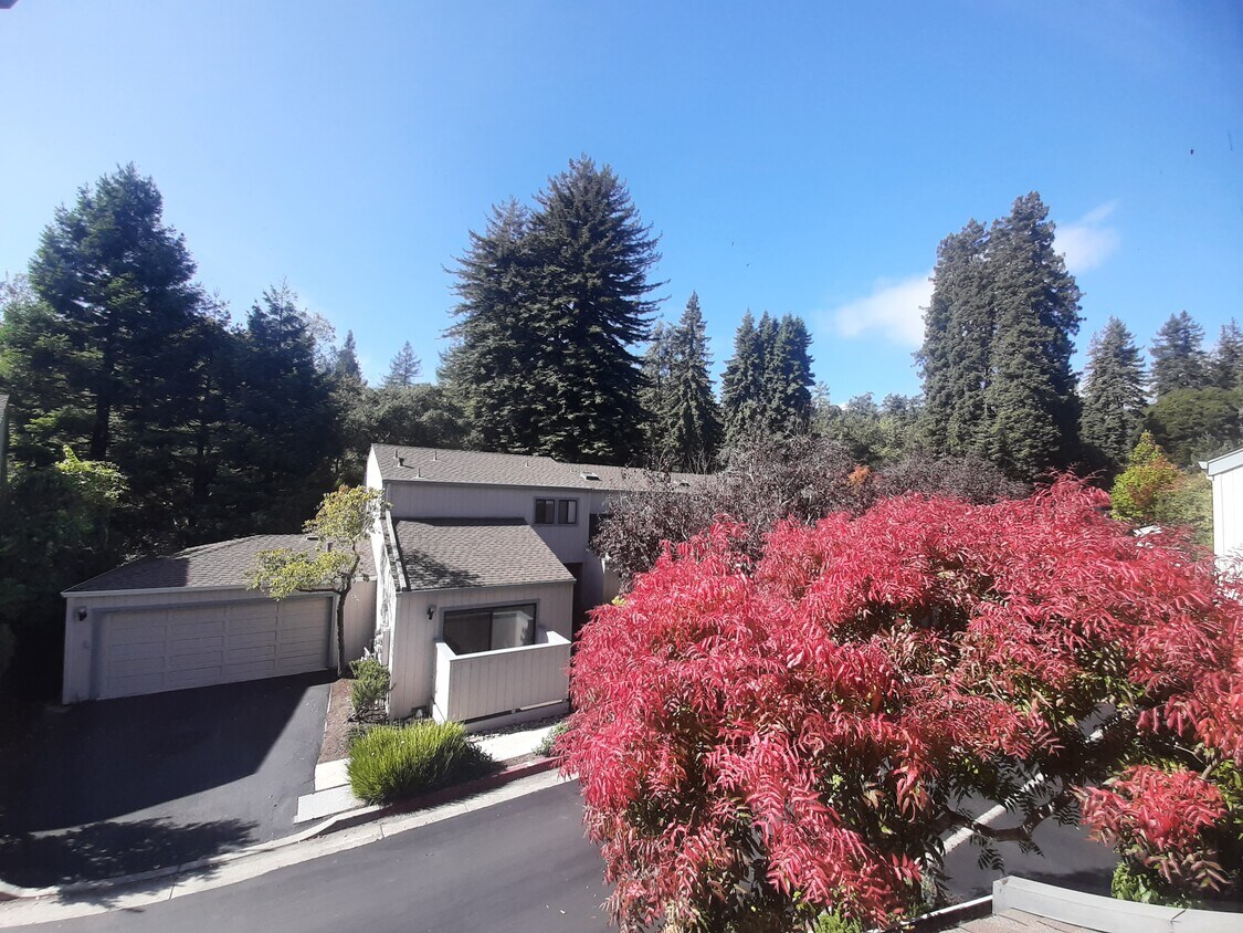 Complejo de condominios tranquilo - 321 Village Creek Rd