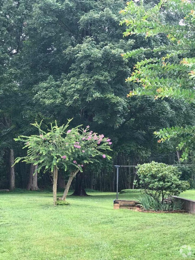 Poplar Forest Apartments under 2,500 Forest, VA 1 Rentals