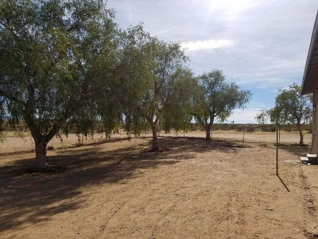 Building Photo - Wide open spaces!
