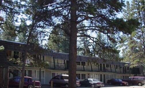 El Slalom Apartment - Harding Rentals