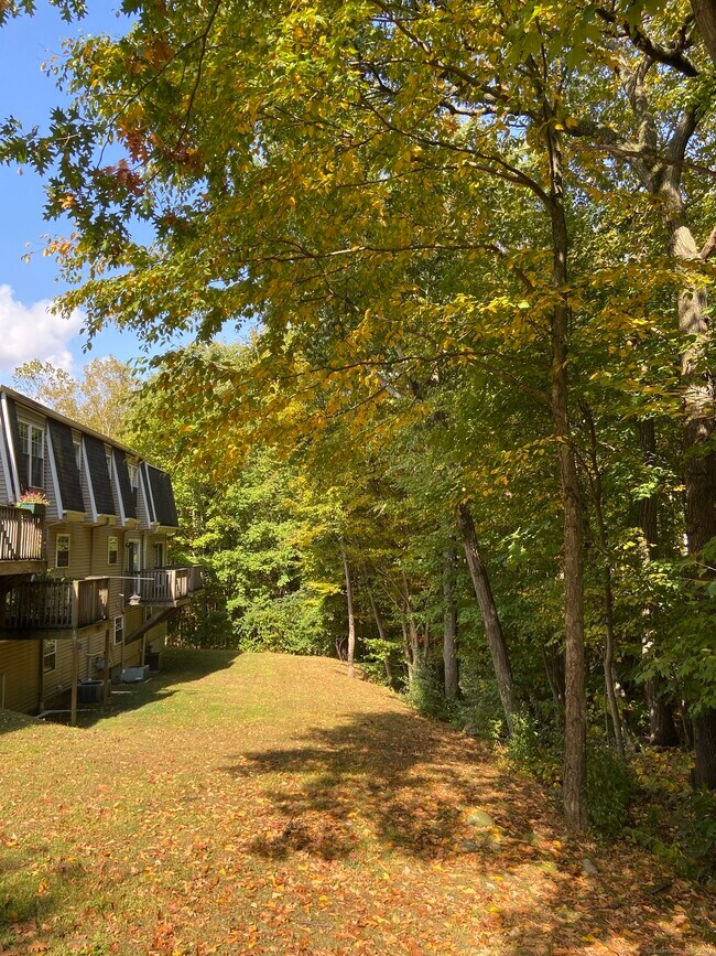 Foto del edificio - 210 Stonefield Dr