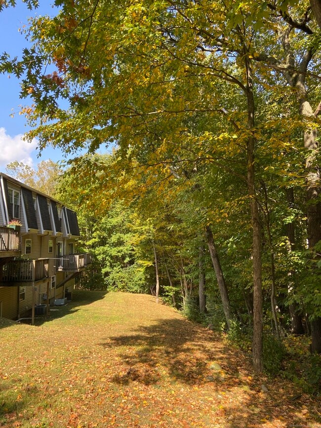 Building Photo - 210 Stonefield Dr
