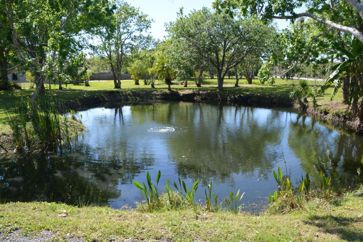 Foto del edificio - 1045 Pine Island Rd