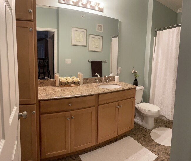 Guest Bathroom (Full) - 1270 Strassner Dr