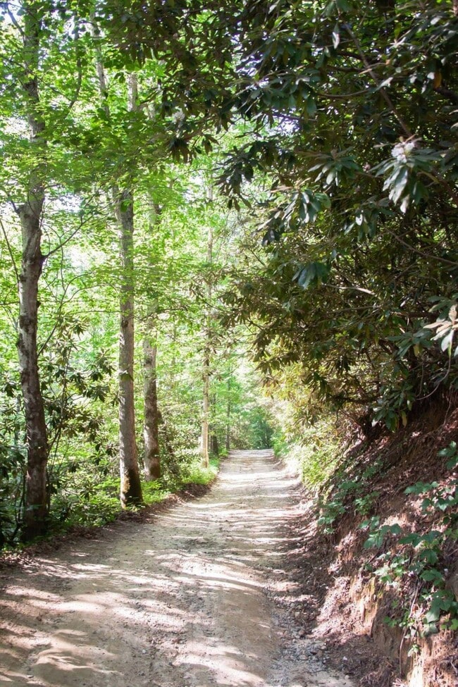 Foto del edificio - 251 Landwood Ln