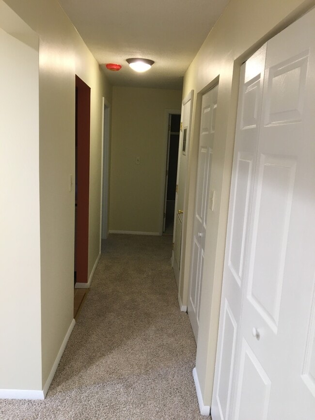Building Photo - 1804 Snow Meadow Ln
