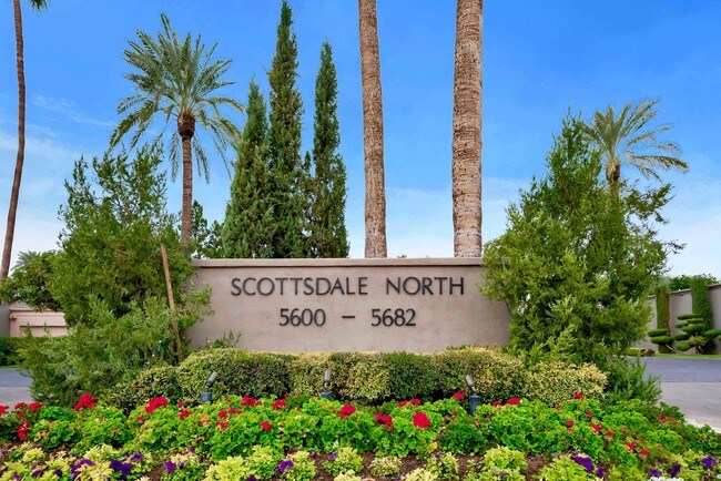 Building Photo - 5676 N Scottsdale Rd
