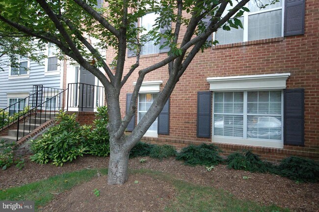 Foto del edificio - 7746 New Providence Dr