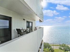 Building Photo - 4141 Bayshore Blvd