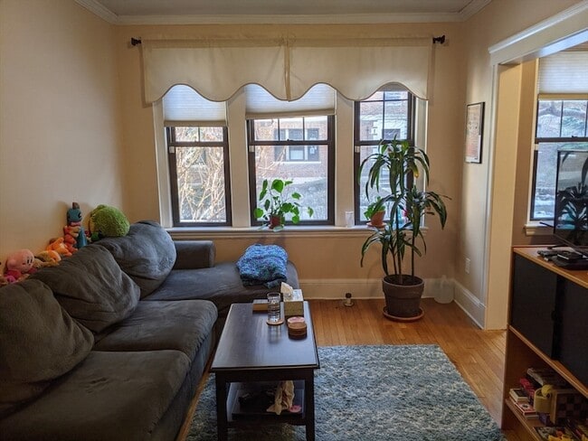 Photo - 66 Queensberry St Apartment